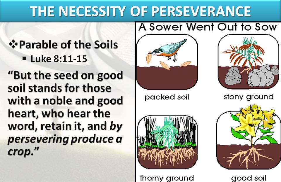 parable-of-soils