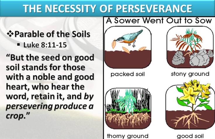 parable-of-soils
